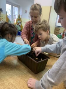 grupa dzieci sadząca cebulkę w donicy