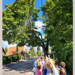 Pierwszy Dzień Jesieni