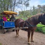 Zbieranie ziemniaków