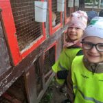 Zbieranie ziemniaków