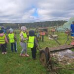 Zbieranie ziemniaków