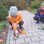 Kreatywna Matematyka - Znikające kasztany