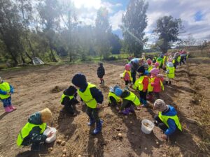 dzieci zbierają ziemniaki