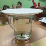 szklanka z wodą i goździkiem przykryta talerzykiem