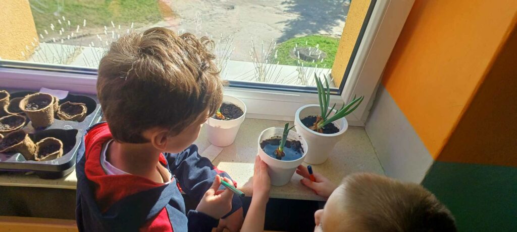 dzieci obserwują wzrost swoich roślin