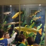 dzieci oglądają ryby w akwarium