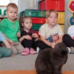 Królik siedzi w środku koła dzieci
