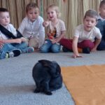 Królik biega na dywanie pośrodku koła dzieci