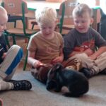Królik podchodzi do chłopca, który trzyma w ręku marchewkę