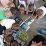 dzieci oglądają różne rodzaje choinek na zdjęciach